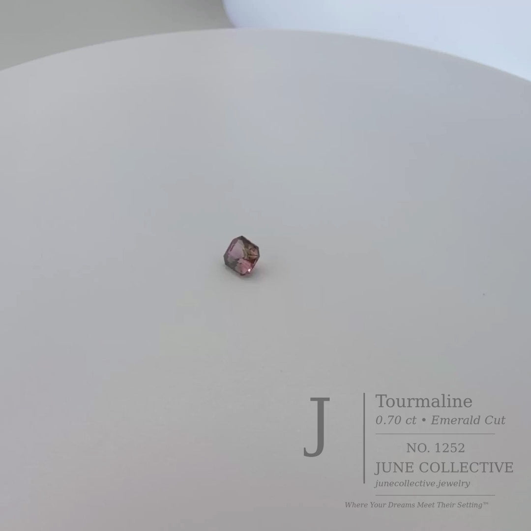 Natural Bi-Color Tourmaline 0.70 Ct Emerald Cut