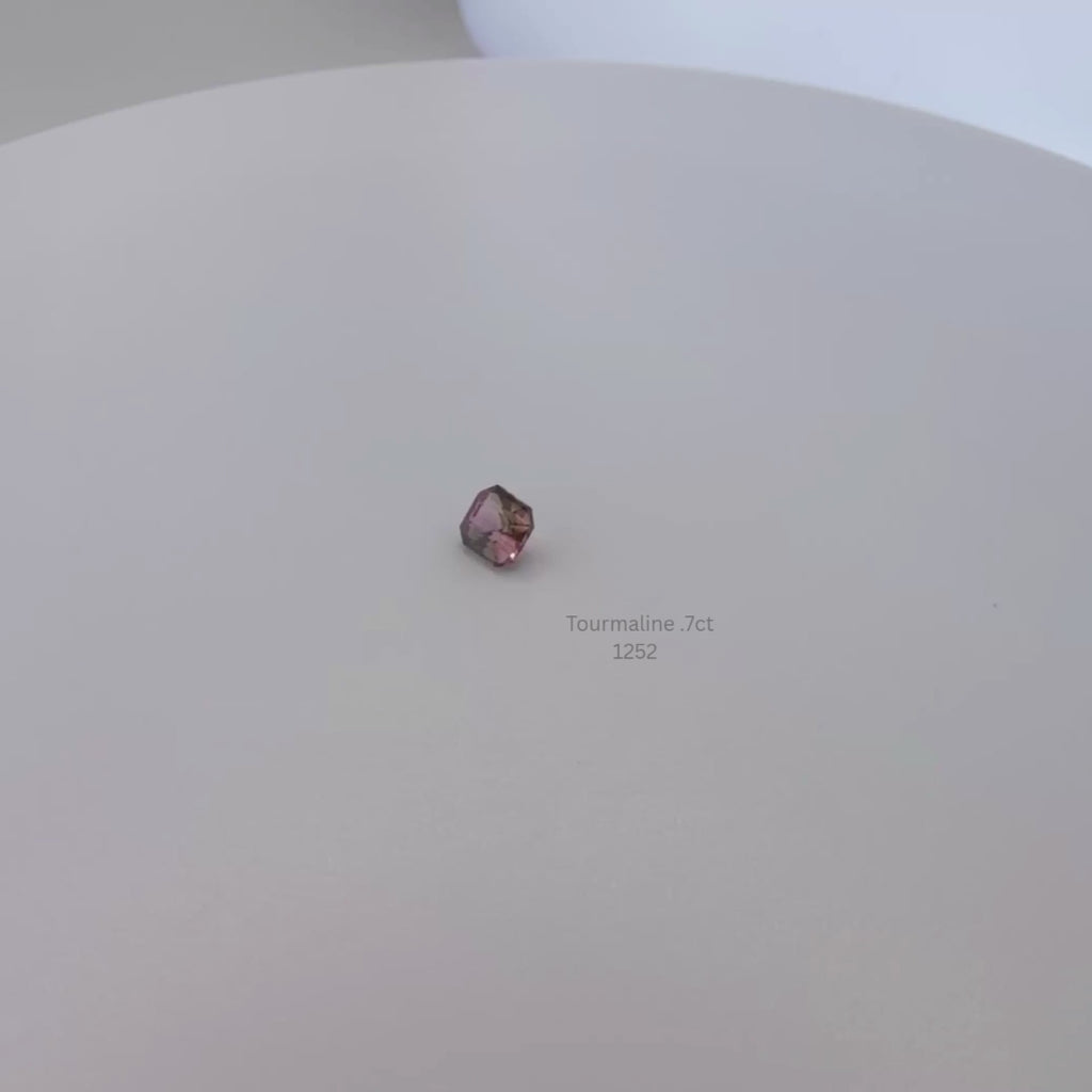 Natural Bi-Color Tourmaline 0.70 Ct Emerald Cut