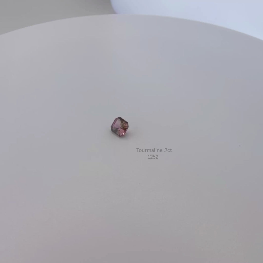 Natural Bi-Color Tourmaline 0.70 Ct Emerald Cut